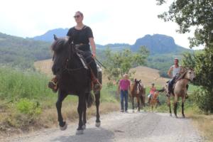 38133375 1139710416186535 7099022933841936384 n