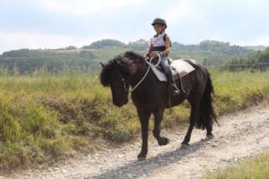 38136077 1139710262853217 6607073273769361408 n