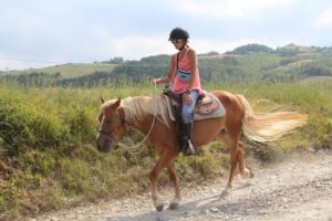 38136110 1139711039519806 5074062548039368704 n