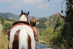 38152796 1139710616186515 9183371520368443392 n