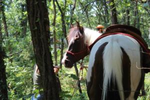 38171736 1139710396186537 8763911966130438144 n