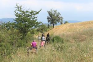 38193513 1139710516186525 6288422331454849024 n