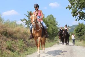 38195957 1139710972853146 8002586428313698304 n