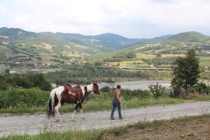 38235182 1139709976186579 7520799412482736128 n